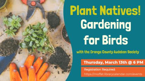 Plant Natives! Gardening for Birds with the Orange County Audobon Society. Thursday, March 13th @ 6PM